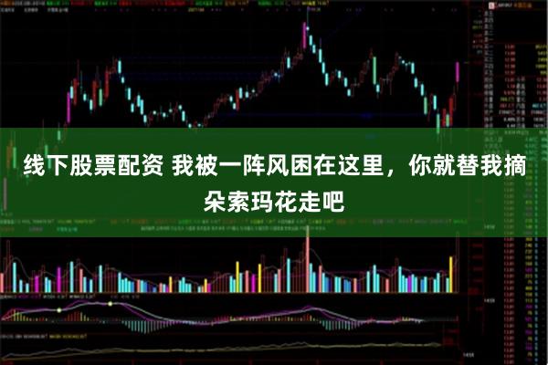 线下股票配资 我被一阵风困在这里，你就替我摘朵索玛花走吧